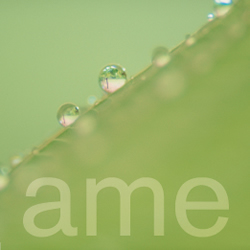 Ame Restaurant San Francisco