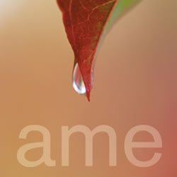 Ame Restaurant San Francisco